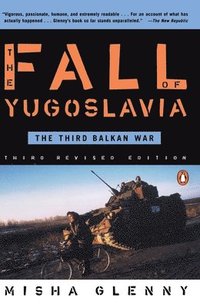 Fall of Yugoslavia, The