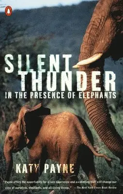 Silent Thunder: In the Presence of Elephants
