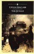 The Jungle