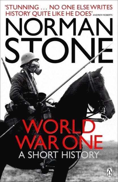 Norman Stone - World War One, E-bok