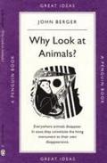 Why Look at Animals?