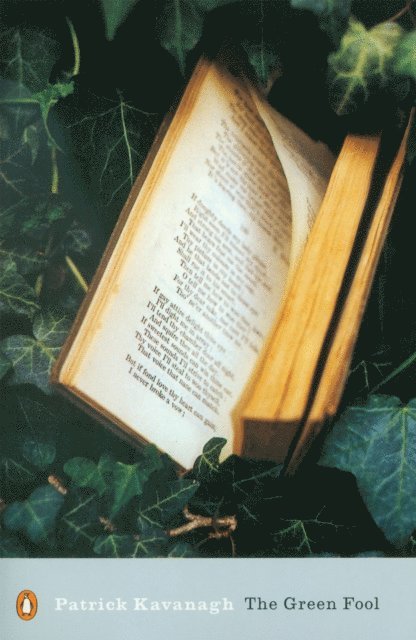 Patrick Kavanagh - Green Fool, E-bok