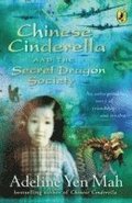 Chinese Cinderella and the Secret Dragon Society