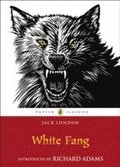 White Fang