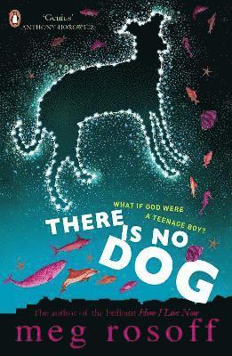 Meg Rosoff - There Is No Dog, Häftad
