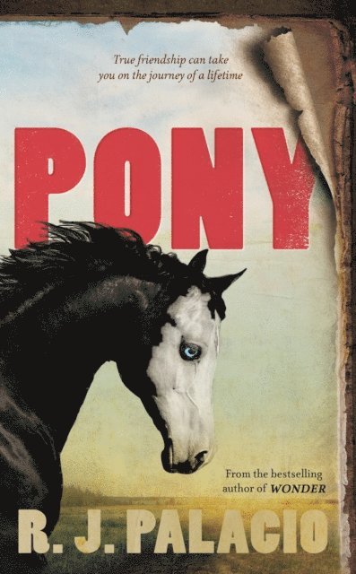 R. J. Palacio - Pony, E-bok