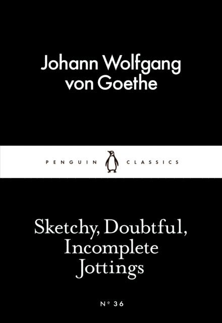 Johann Wolfgang von Goethe - Sketchy, Doubtful, Incomplete Jottings, E-bok