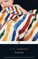 Rainbow av D H Lawrence, D H Lawrence, Anne Fernihough, James Wood, Mark Kinkead-Weekes