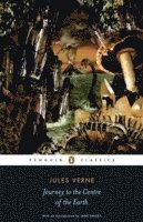 Jules Verne, Peter Cogman - Journey to the Centre of the Earth, Häftad
