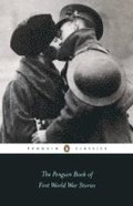 Penguin Book of First World War Stories