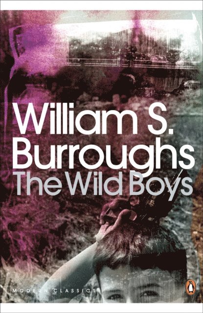 William S. Burroughs - Wild Boys, E-bok