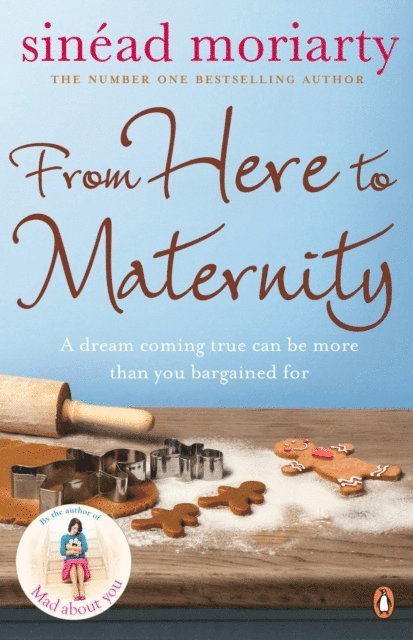 Sinéad Moriarty - From Here to Maternity, E-bok