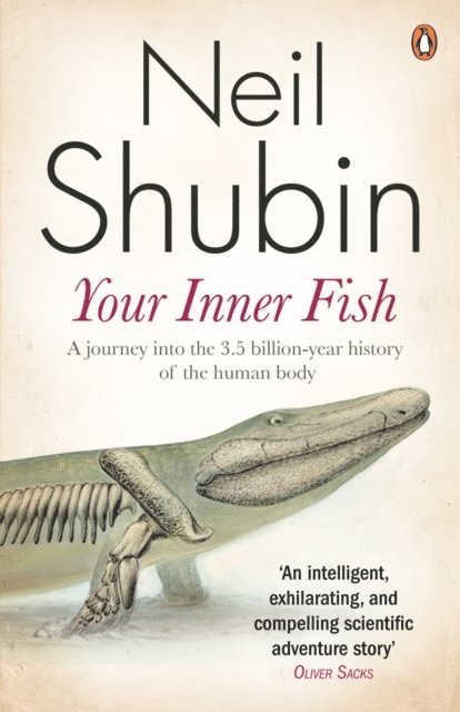 Neil Shubin - Your Inner Fish, E-bok