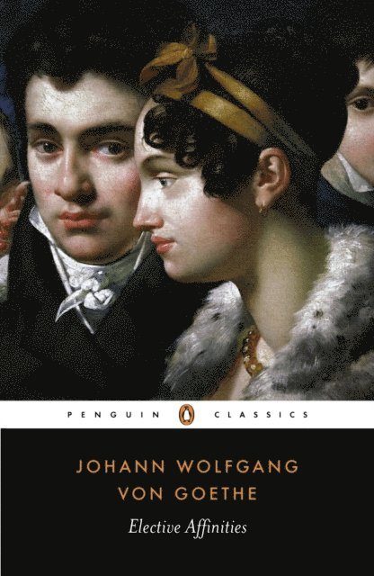Johann Wolfgang von Goethe - Elective Affinities, E-bok
