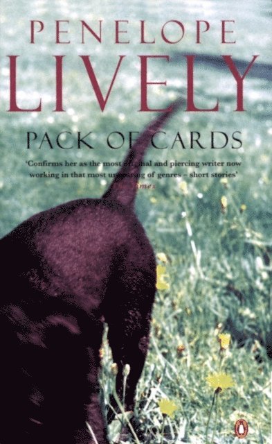 Penelope Lively - Pack of Cards, E-bok