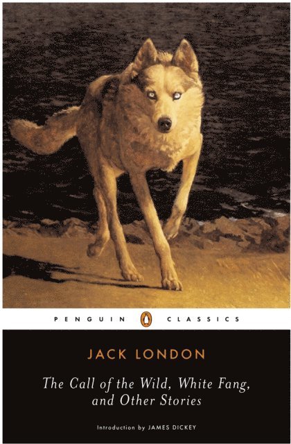 Jack London - Call of the Wild, White Fang and Other Stories, E-bok