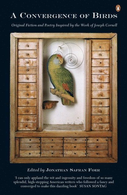 Jonathan Safran Foer - Convergence of Birds, E-bok