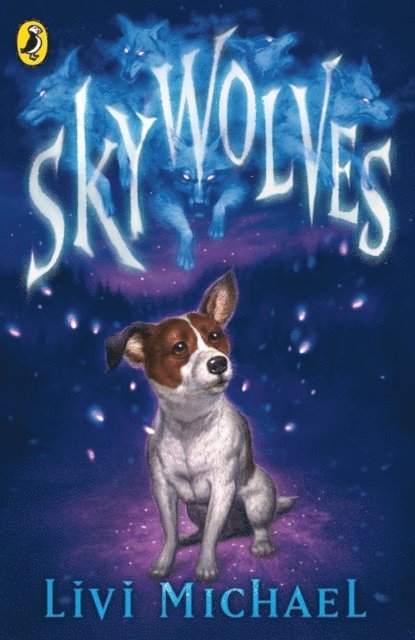 Livi Michael - Sky Wolves, E-bok