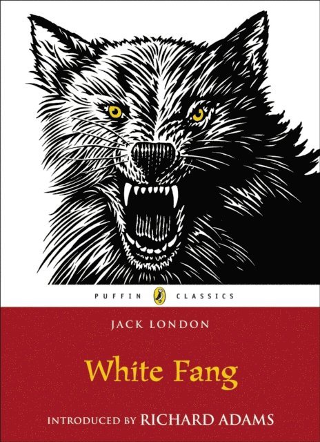 Jack London - White Fang, E-bok