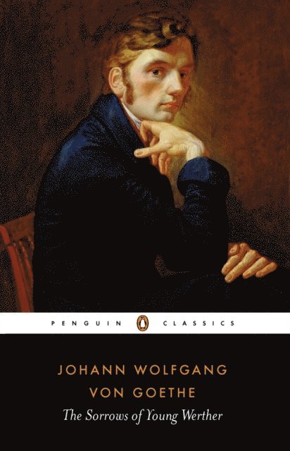 Johann Wolfgang von Goethe - Sorrows of Young Werther, E-bok