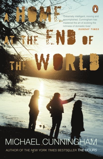 Michael Cunningham - Home at the End of the World, E-bok