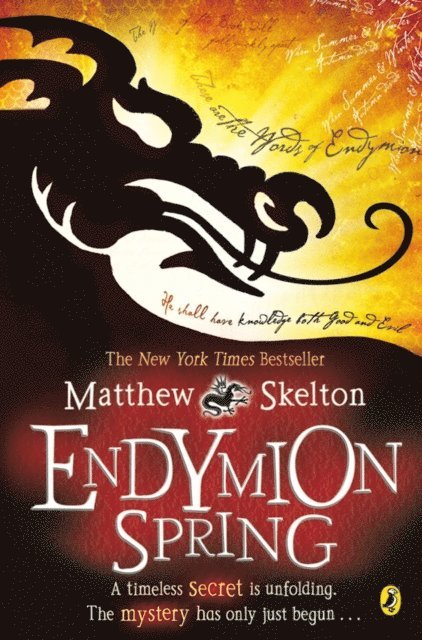 Matthew Skelton - Endymion Spring, E-bok