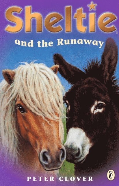Peter Clover - Sheltie and the Runaway, E-bok