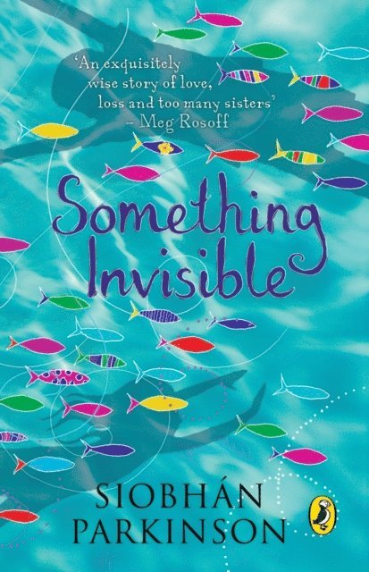 Siobhán Parkinson - Something Invisible, E-bok