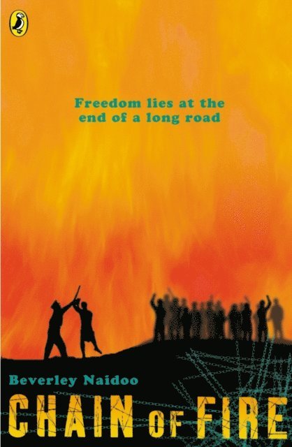 Beverley Naidoo - Chain of Fire, E-bok