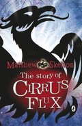 Story of Cirrus Flux