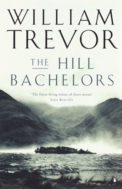 William Trevor - Hill Bachelors, E-bok