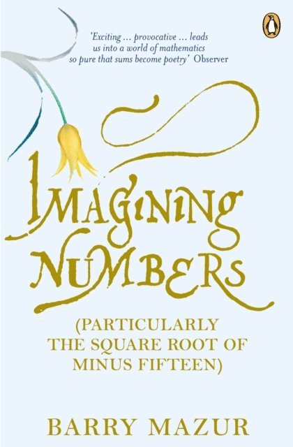 Barry Mazur - Imagining Numbers, E-bok