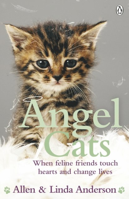 Allen Anderson, Linda Anderson - Angel Cats, E-bok