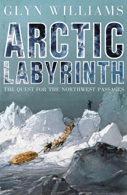Glyn Williams - Arctic Labyrinth, E-bok