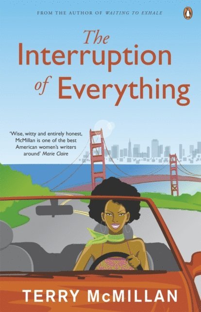 Terry McMillan - Interruption of Everything, E-bok