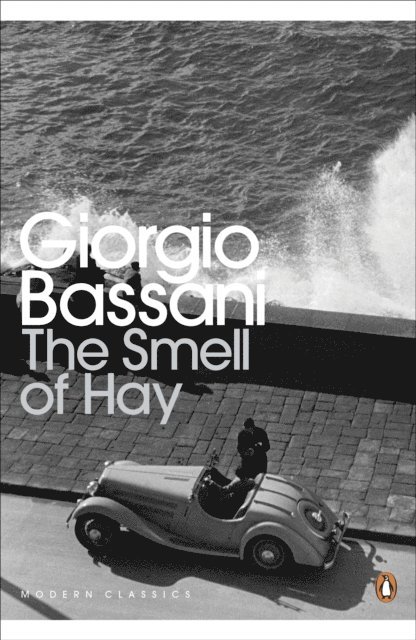 Giorgio Bassani - Smell of Hay, E-bok