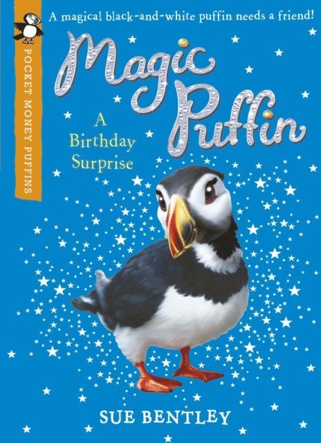 Sue Bentley - Magic Puffin: A Birthday Surprise (Pocket Money Puffin), E-bok