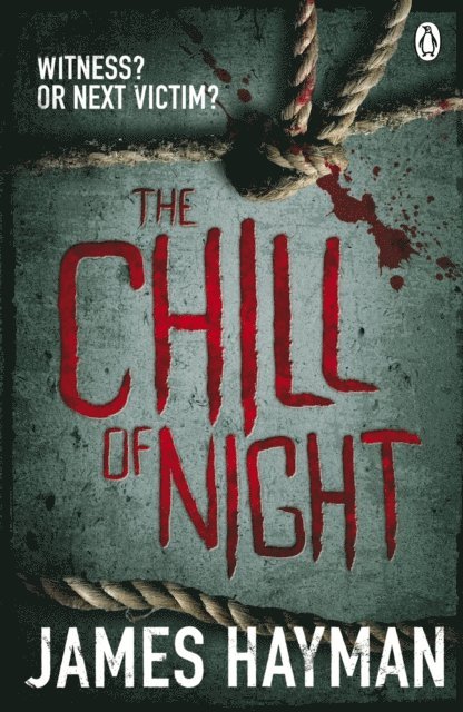 James Hayman - Chill of Night, E-bok
