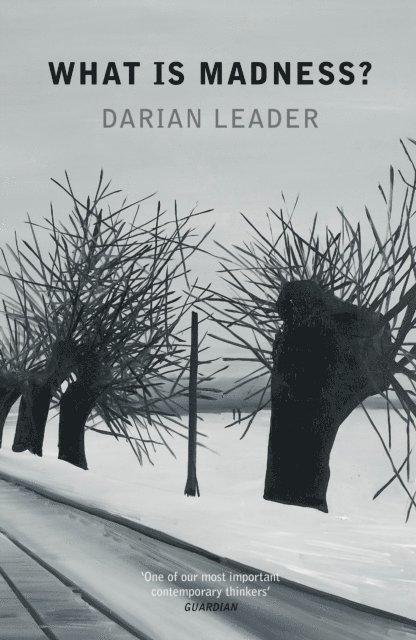 Darian Leader - What is Madness?, E-bok