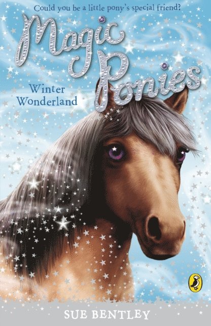 Sue Bentley - Magic Ponies: Winter Wonderland, E-bok