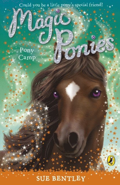 Sue Bentley - Magic Ponies: Pony Camp, E-bok