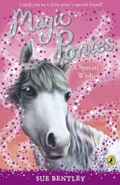 Sue Bentley - Magic Ponies: A Special Wish, E-bok