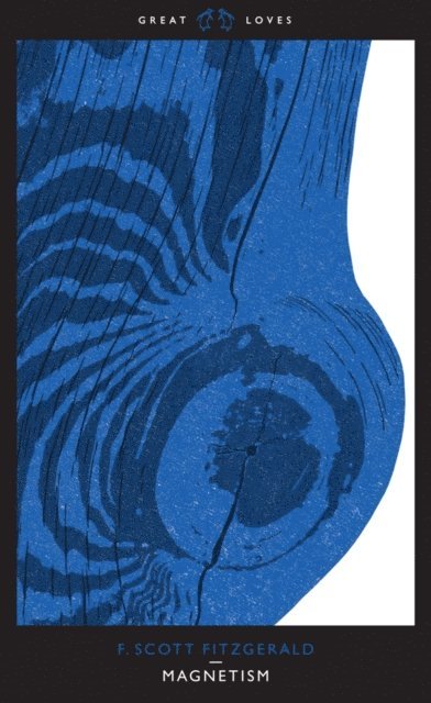F. Scott Fitzgerald - Magnetism, E-bok