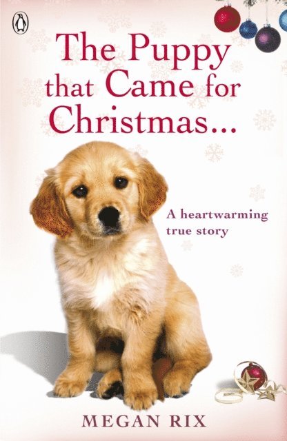 Megan Rix - Puppy that Came for Christmas and Stayed Forever, E-bok