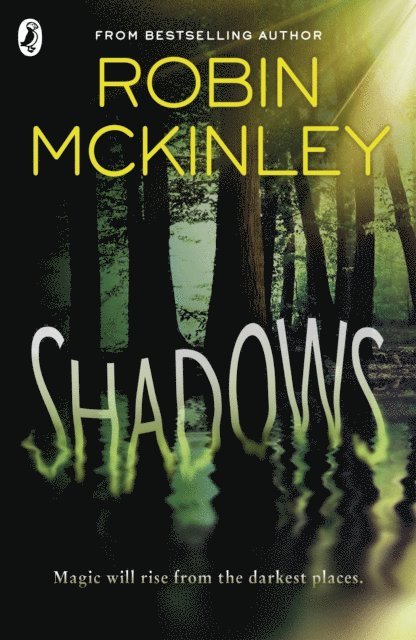 Robin McKinley - Shadows, E-bok