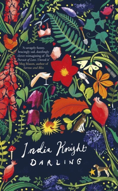 India Knight - Darling, E-bok