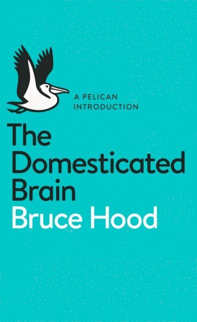 Bruce Hood - Domesticated Brain, E-bok