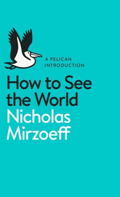 Nicholas Mirzoeff - How to See the World, E-bok