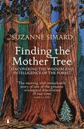 Finding the Mother Tree