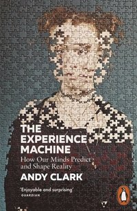 Experience Machine